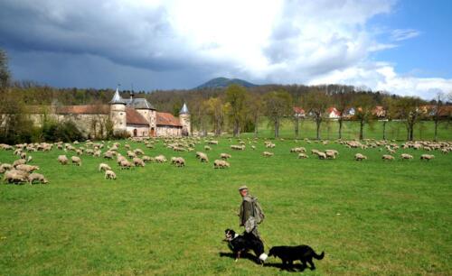 312667249cd809385e9972cc32e948521